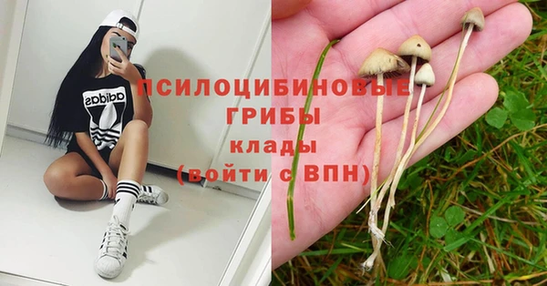 mdpv Балахна