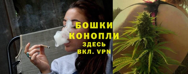 сатива Армянск