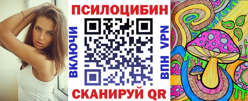 Псилоцибиновые грибы Cubensis  где можно купить наркотик  Пугачёв 